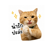 855879042