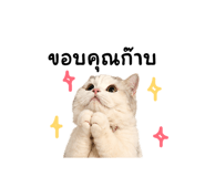 855879520