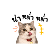 855879525