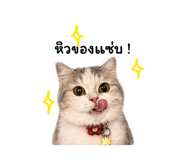855879530