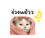 855879540