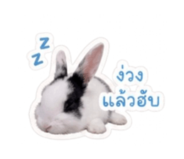 855879895