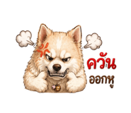 855880338