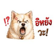 855880350