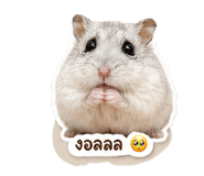 855880477