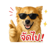 855881401