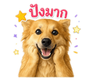 855881403