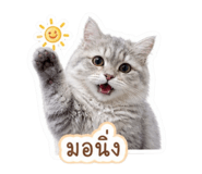 855883114