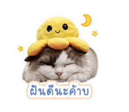855883115