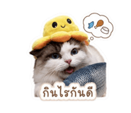 855883125