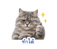 855883137