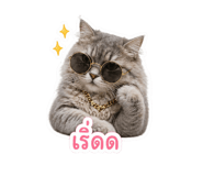 855883138