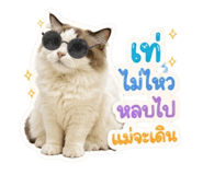 855883142