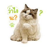 855883144