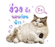 855883152