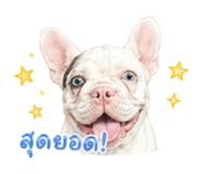 855884691