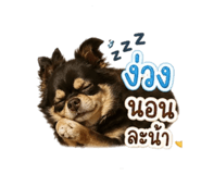 855888458