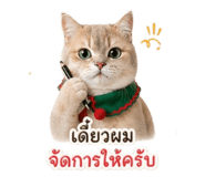 855890523