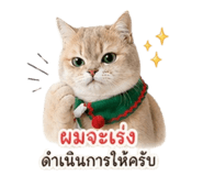 855890534