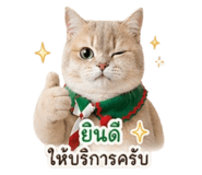855890535