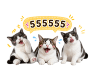 855890683