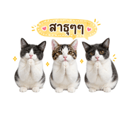 855890684