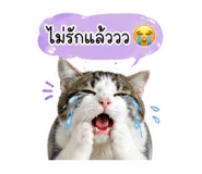 855890712