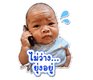 855891606