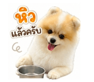 855891809