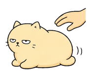 855894290
