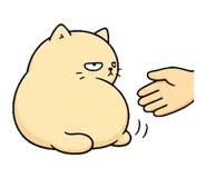 855894291