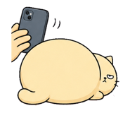 855894295