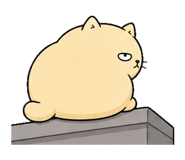 855894303