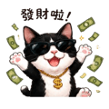 855894806