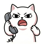 855895058