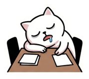 855895065