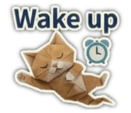 855895454