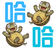 855896002