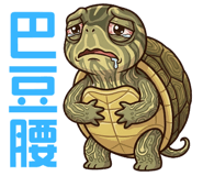 855896026