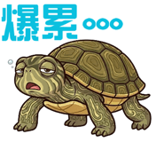 855896036