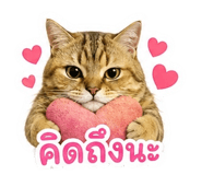 855897331