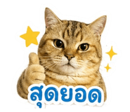 855897332