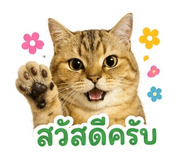855897334