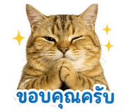 855897337