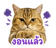 855897339