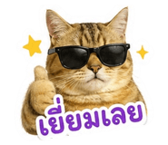 855897341