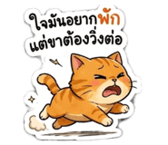 855897549