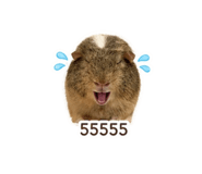 855897710