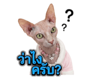 855897769