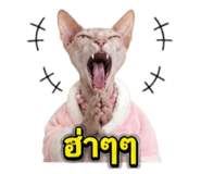 855897773